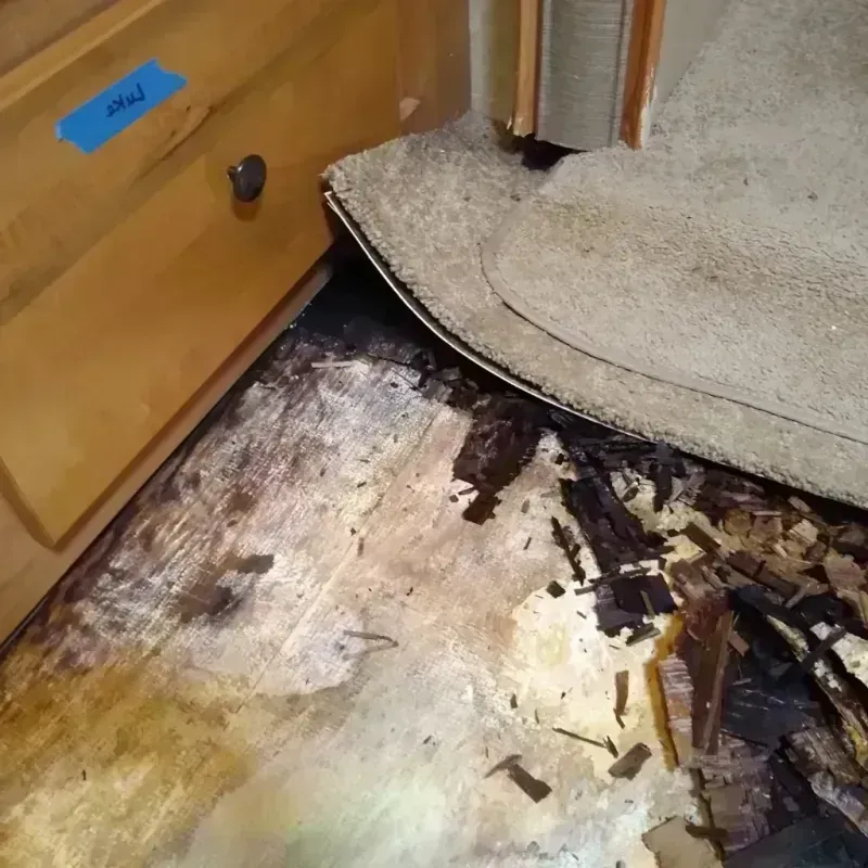 Wood Floor Water Damage in Richmond, MO